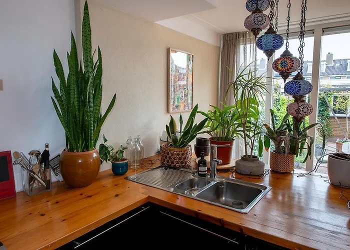 Huize Zonnebloem Vakantiehuis Beverwijk