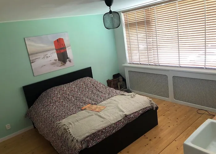 בית נופש Huize Zonnebloem בברוויק